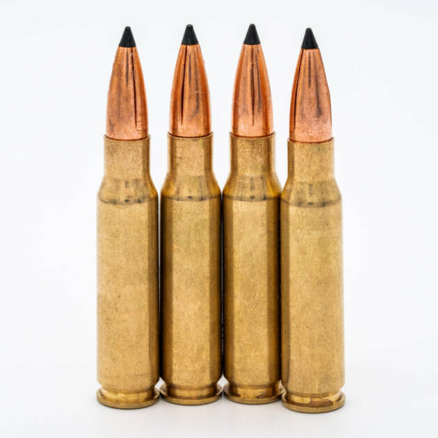 308 Winchester 168gr Triad